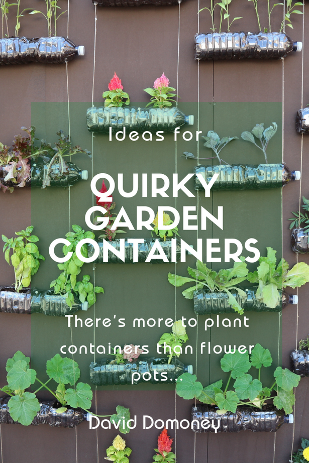 unusual-container-plants-16 Необичайни контейнерни растения