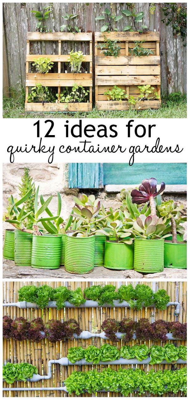 unusual-containers-for-garden-plants-71_2 Необичайни контейнери за градински растения