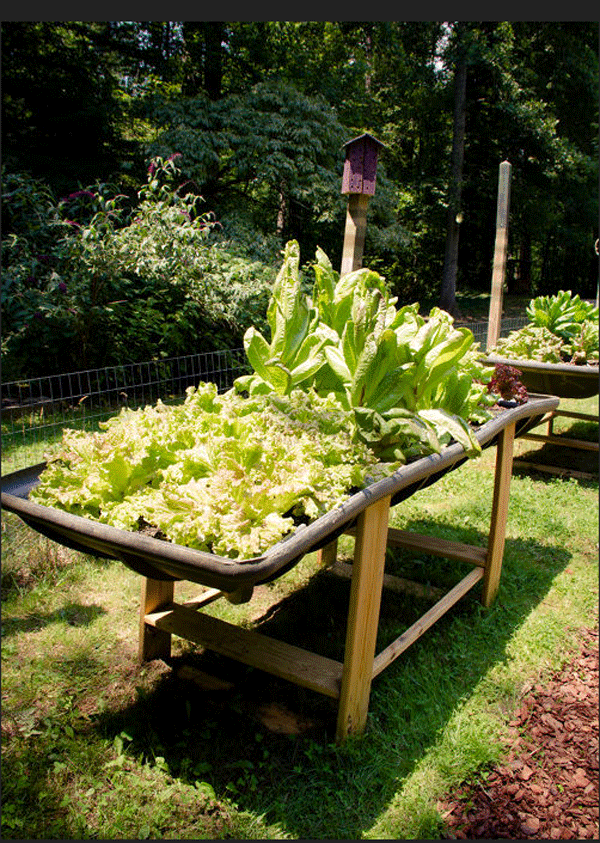 unusual-raised-garden-beds-10 Необичайни повдигнати градински легла