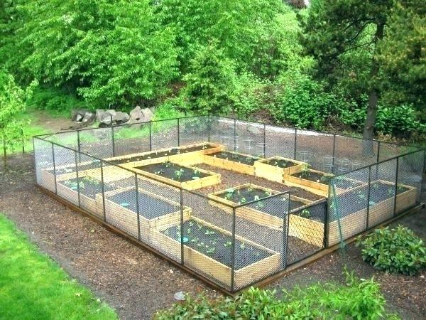 vegetable-garden-bed-ideas-14_14 Зеленчукова градина легло идеи