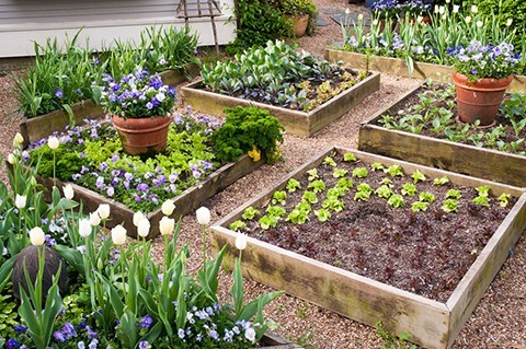 vegetable-garden-beds-design-38_10 Дизайн на зеленчукови градински легла