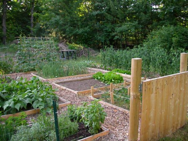 vegetable-garden-beds-design-38_3 Дизайн на зеленчукови градински легла