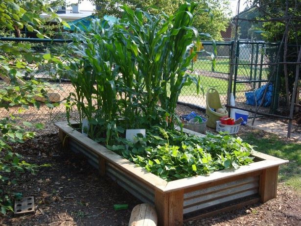veggie-garden-bed-ideas-30_6 Вегетарианска градина легло идеи