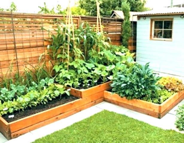 veggie-garden-bed-ideas-30_7 Вегетарианска градина легло идеи