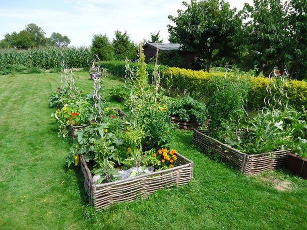 veggie-garden-bed-ideas-30_8 Вегетарианска градина легло идеи