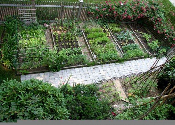 veggie-garden-beds-design-24_11 Дизайн на зеленчукови градински легла