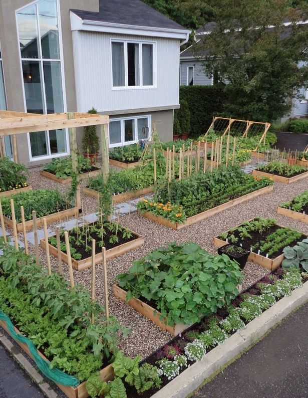 veggie-garden-beds-design-24_13 Дизайн на зеленчукови градински легла