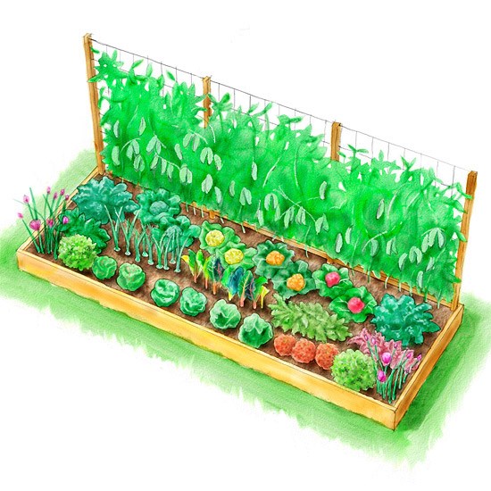 veggie-garden-beds-design-24_19 Дизайн на зеленчукови градински легла
