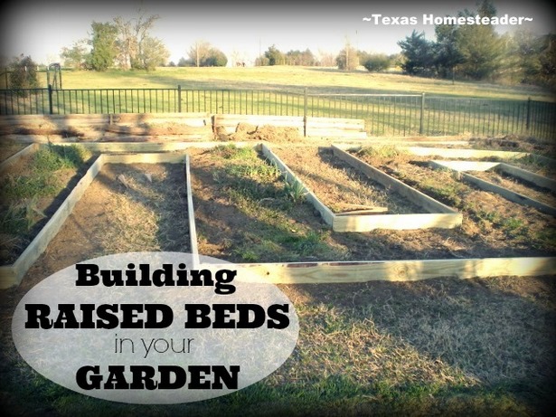 veggie-garden-beds-design-24_5 Дизайн на зеленчукови градински легла