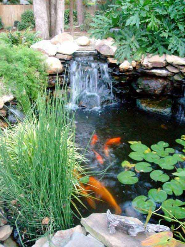 amazing-garden-pond-87 Невероятно градинско езерце