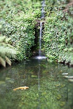 amazing-garden-pond-87_11 Невероятно градинско езерце