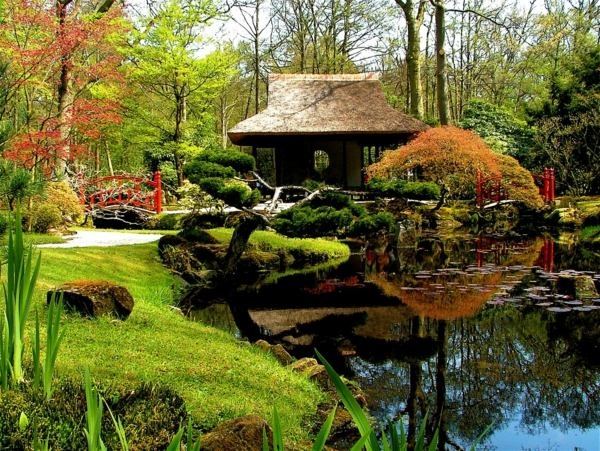 amazing-garden-pond-87_12 Невероятно градинско езерце