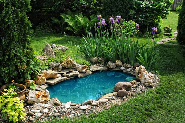 amazing-garden-pond-87_16 Невероятно градинско езерце