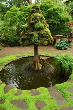 amazing-garden-pond-87_18 Невероятно градинско езерце
