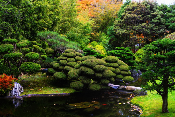 amazing-garden-pond-87_9 Невероятно градинско езерце