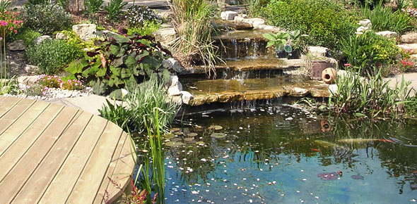 amazing-ponds-and-gardens-37_2 Невероятни езера и градини