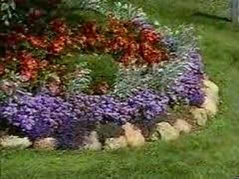 arranging-flower-beds-24 Подреждане на цветни лехи
