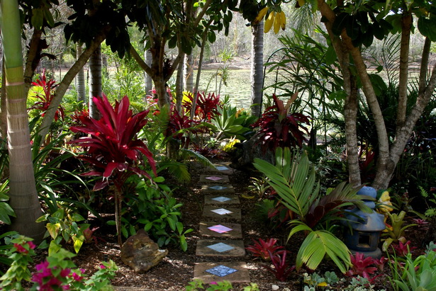 australian-tropical-gardens-61 Австралийски тропически градини