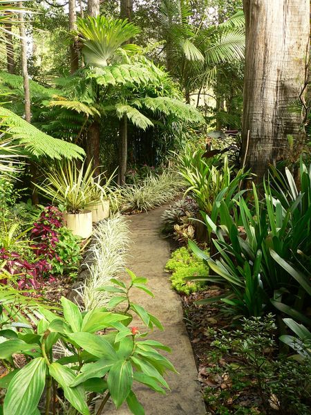 australian-tropical-gardens-61_10 Австралийски тропически градини