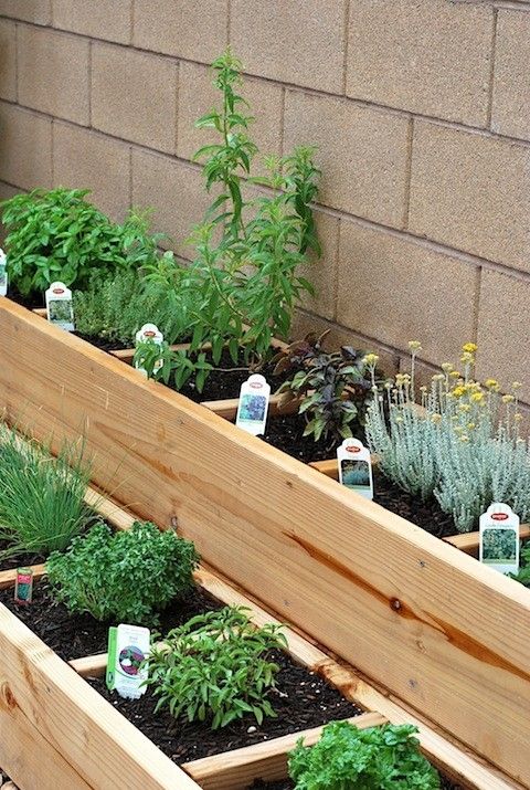 Градински идеи за градина с билки