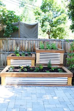 backyard-herb-garden-ideas-30_13 Градински идеи за градина с билки