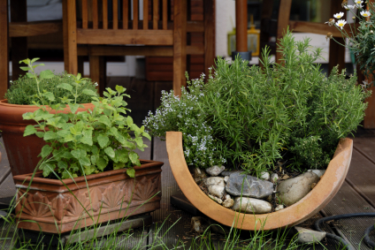 backyard-herb-garden-ideas-30_14 Градински идеи за градина с билки