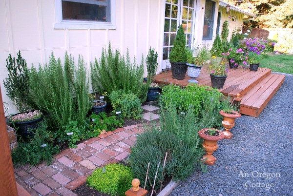 backyard-herb-garden-ideas-30_20 Градински идеи за градина с билки