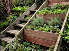 backyard-herb-garden-ideas-30_7 Градински идеи за градина с билки