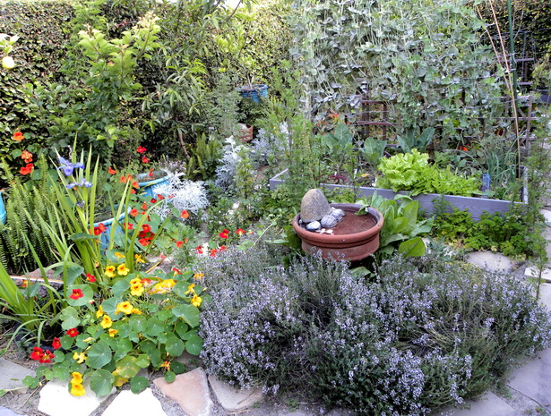 backyard-herb-garden-23_16 Двор билкова градина