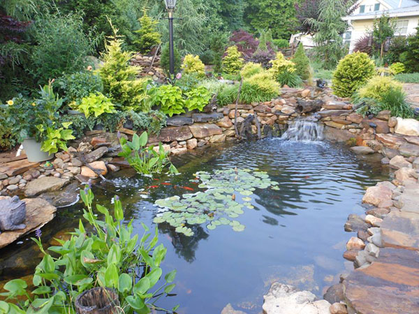backyard-koi-pond-designs-23_3 Заден двор кои езерце дизайни