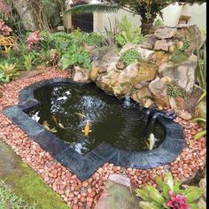 backyard-koi-pond-ideas-86_6 Заден двор кои езерце идеи