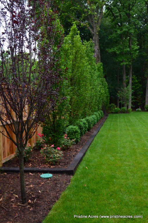 backyard-landscaping-ideas-along-fence-38_17 Задния двор озеленяване идеи по ограда