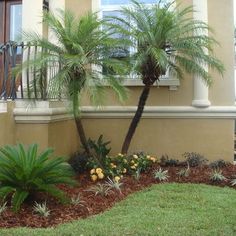 backyard-landscaping-ideas-florida-88_11 Идеи за озеленяване на задния двор Флорида