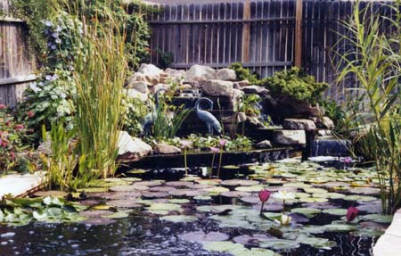 Заден двор езерце аксесоари
