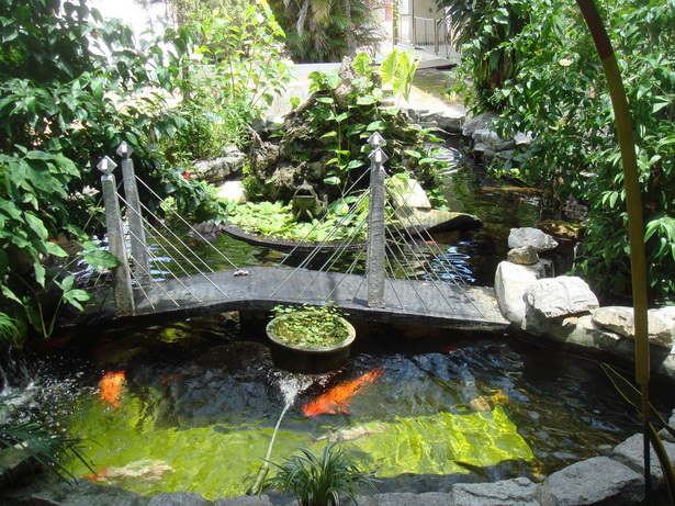 backyard-pond-accessories-98_11 Заден двор езерце аксесоари