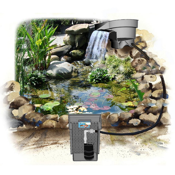 backyard-pond-accessories-98_13 Заден двор езерце аксесоари