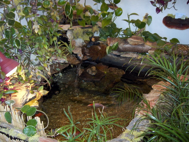 backyard-pond-accessories-98_9 Заден двор езерце аксесоари