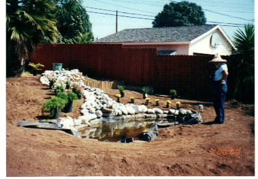 backyard-pond-builders-01_6 Двор езерце строители
