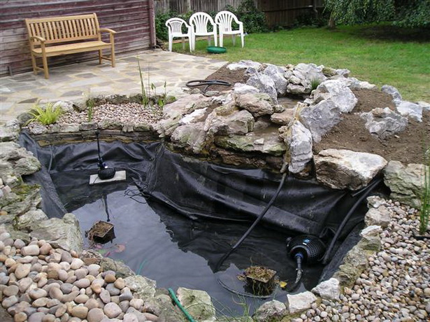 backyard-pond-care-45_15 Грижа за дворното езерце