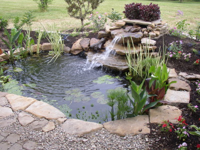 backyard-pond-care-45_18 Грижа за дворното езерце
