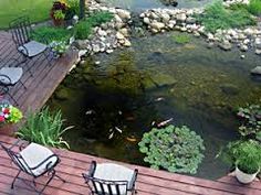 backyard-pond-care-45_7 Грижа за дворното езерце