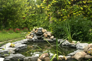 backyard-pond-care-45_8 Грижа за дворното езерце
