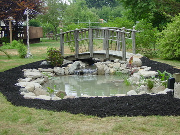 backyard-pond-construction-64_18 Конструкция на езерце в задния двор