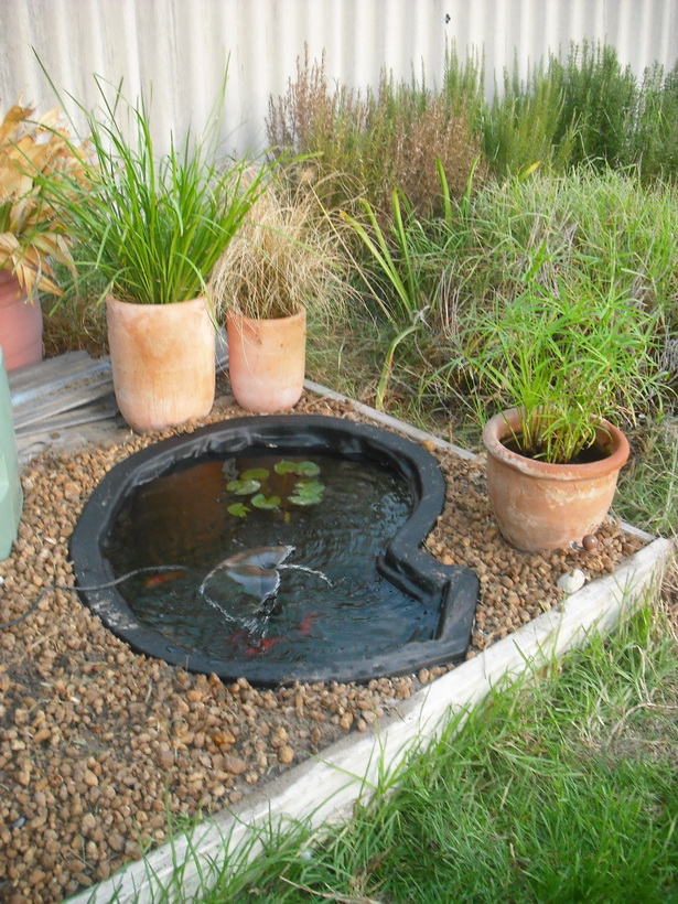 backyard-pond-design-ideas-39_4 Двор езерце дизайн идеи