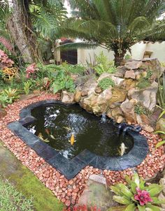 backyard-pond-design-ideas-39_5 Двор езерце дизайн идеи