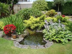backyard-pond-designs-50_20 Дизайн на езерце в задния двор