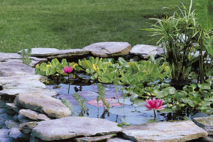backyard-pond-fountains-90_13 Двор езерце фонтани