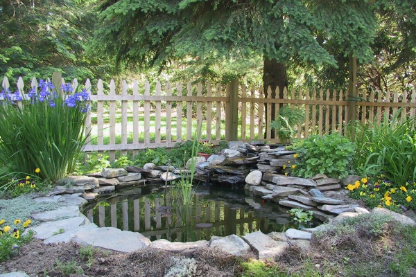 backyard-pond-fountains-90_14 Двор езерце фонтани