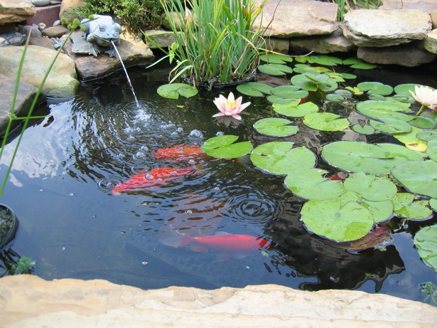 backyard-pond-fountains-90_18 Двор езерце фонтани