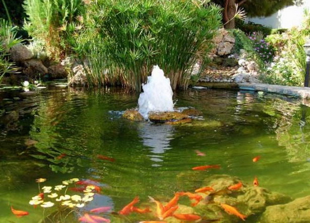backyard-pond-fountains-90_19 Двор езерце фонтани